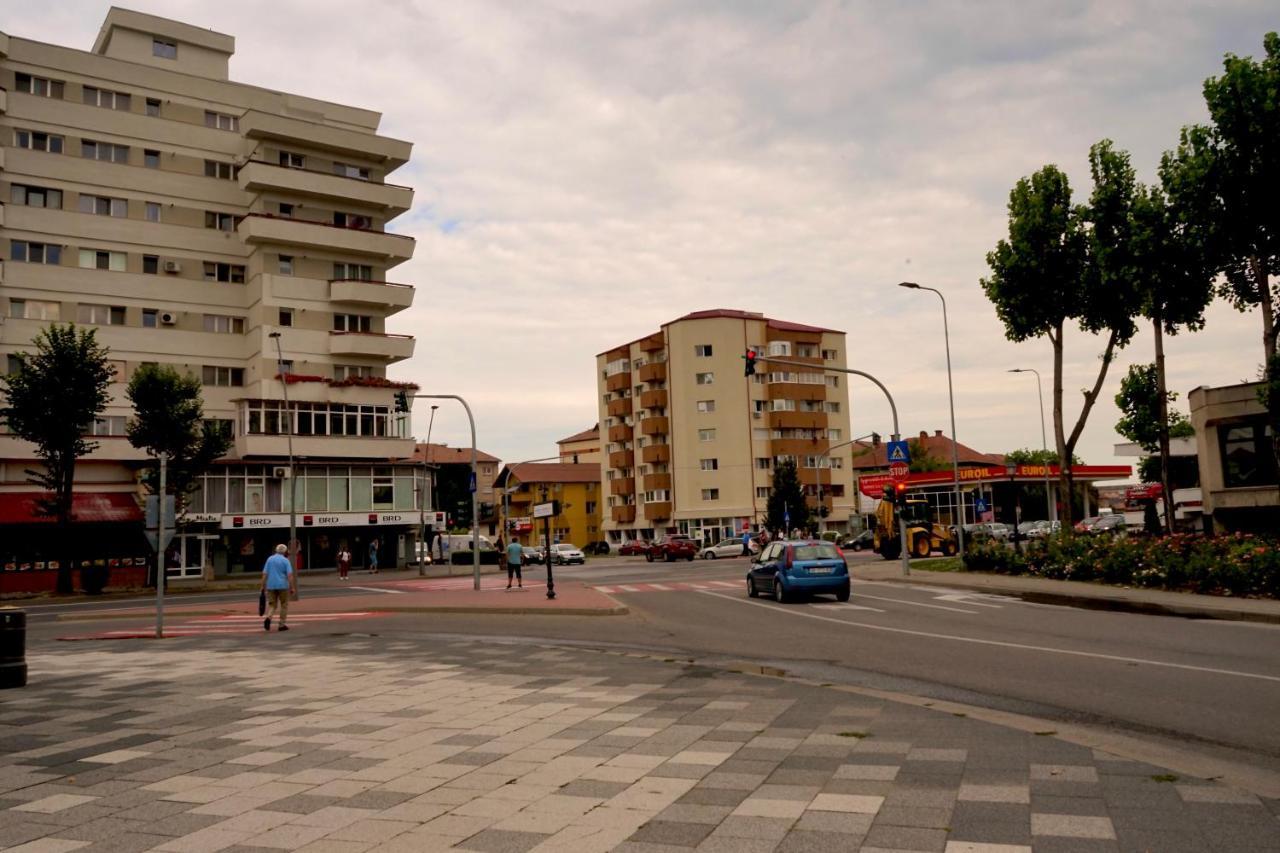 Apartament Viorela Alba Iulia Zewnętrze zdjęcie