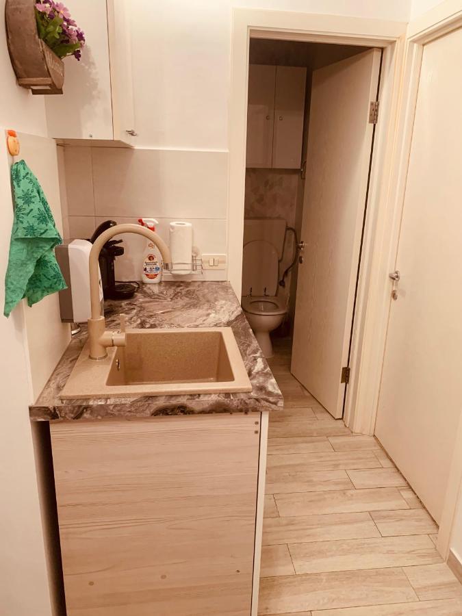 Apartament Viorela Alba Iulia Zewnętrze zdjęcie